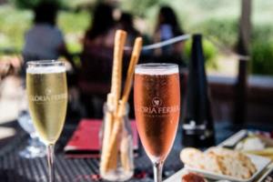 尖庄杯四川篮球联赛回放,激情四溢,精彩纷呈尖庄杯四川篮球联赛回放