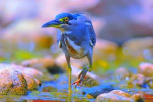 四川周末篮球联赛赛程表全解析四川周末篮球联赛赛程表