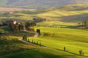 1992年日本全国高中篮球联赛,一段激情燃烧的岁月1992年日本全国高中篮球联赛